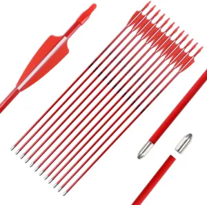 28inch Archery Fiberglass Youth Arrows for Recurve Bows- Beginners Adult and Youth Kids Arrows Practice