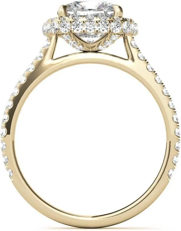3.0Ct Cushion Moissanite Double Halo Engagement Ring With Lab Grown Diamond In14k Gold For Women,D-VVS1