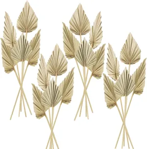 Cenkaiyang 20 Pcs Boho Dried Palm Spears Leaves, Real Palm Fans with Stem, Boho Home Decor for Vase, Wedding, Office, Home (20 Pieces)