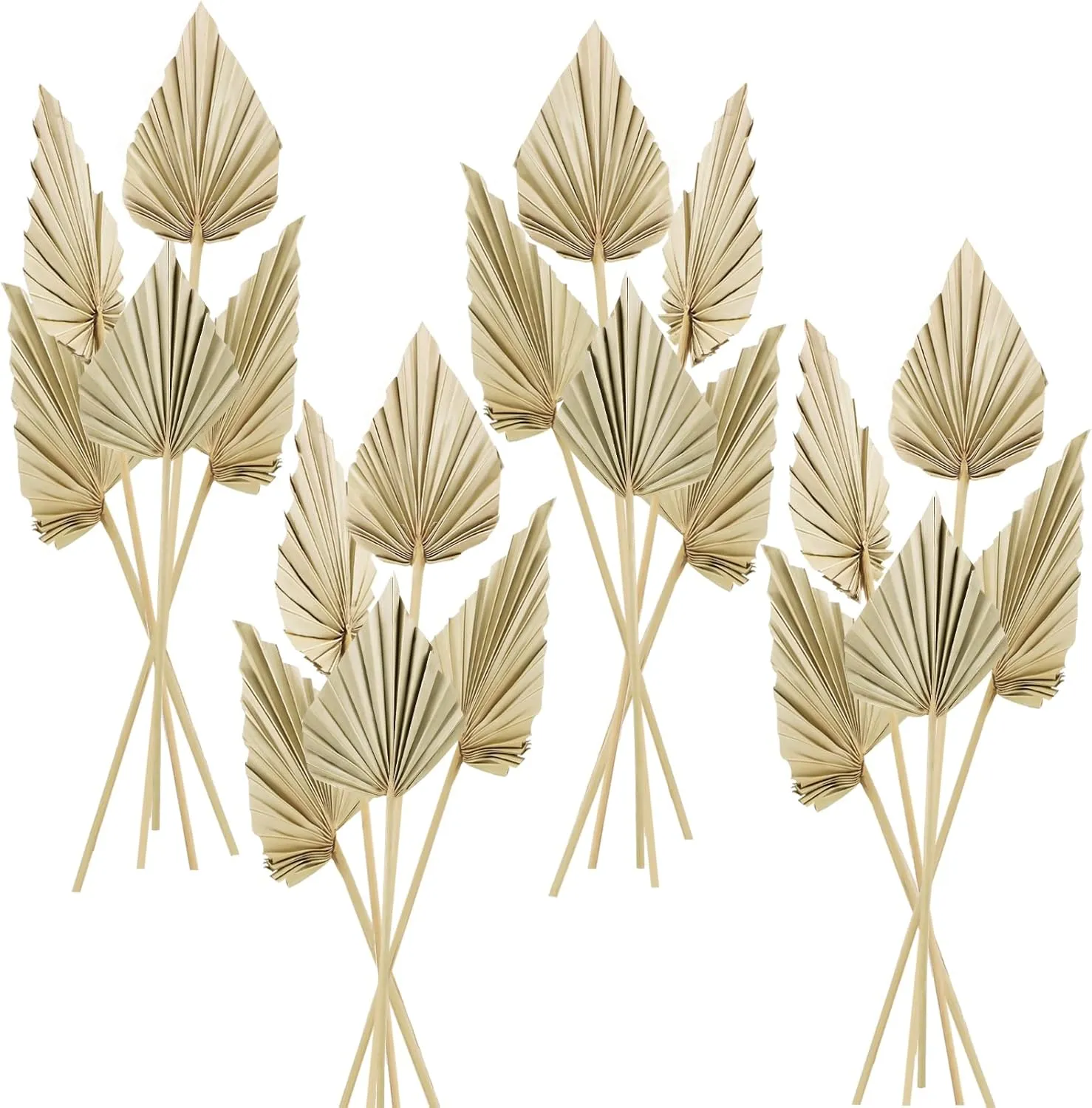 Cenkaiyang 20 Pcs Boho Dried Palm Spears Leaves, Real Palm Fans with Stem, Boho Home Decor for Vase, Wedding, Office, Home (20 Pieces)