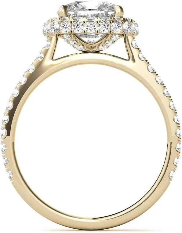 Customize Jewels2.5Ct Cushion Moissanite Double Halo Engagement Ring With Lab Grown Diamond In14k Gold For Women,D-VVS1
