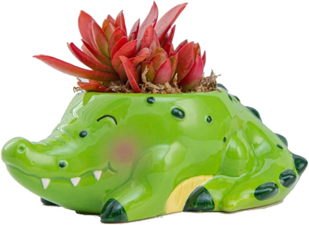 Cute Animal Shaped Planter Flower Pot Crocodile Shape Small Succulent pots with Drainage Ceramic Animal Planter, Indoor Plant Container Planter with Drainage Hole Home(Crocodile)