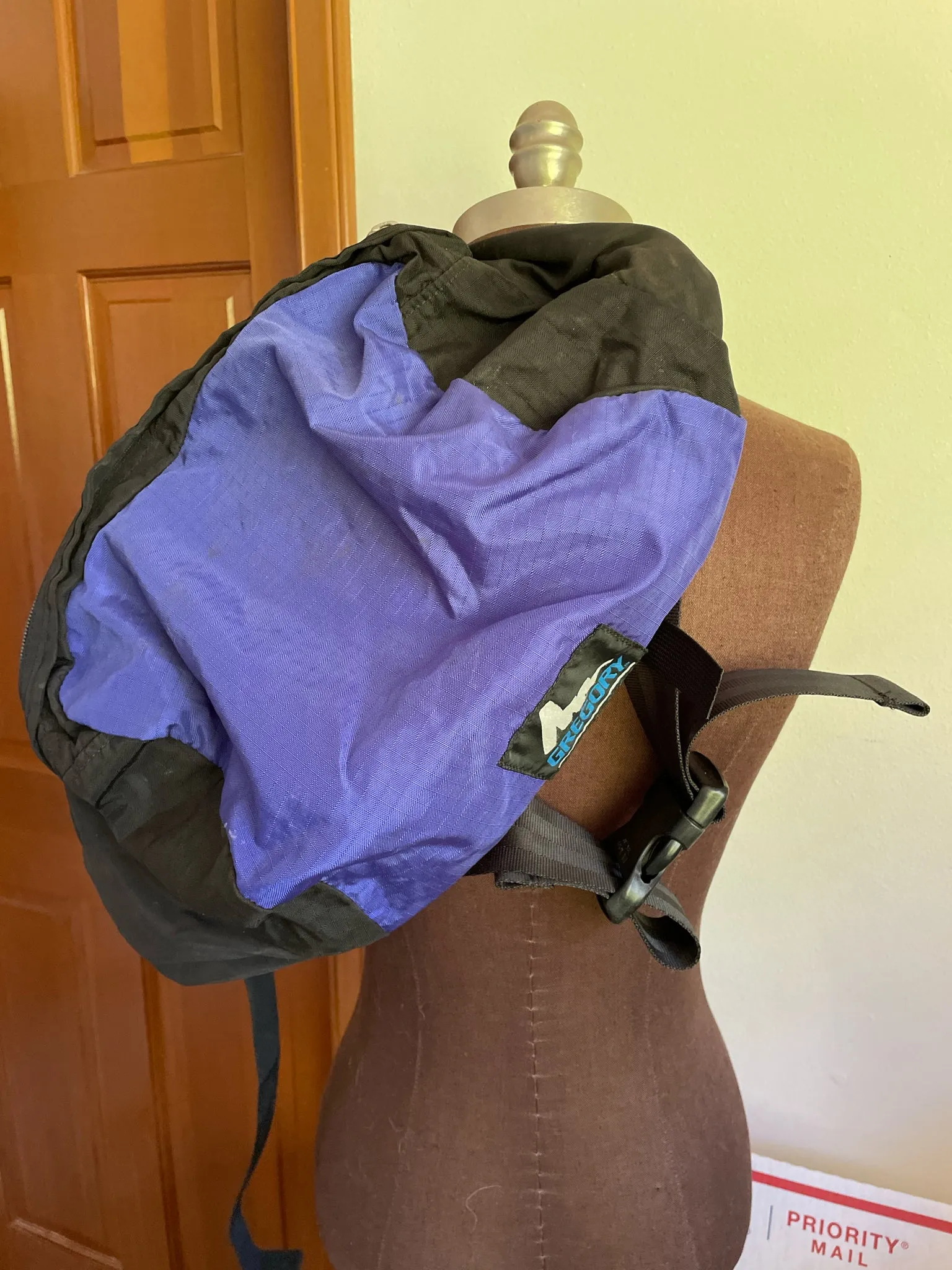 Gregory Tailmate Waistpack/Backpack