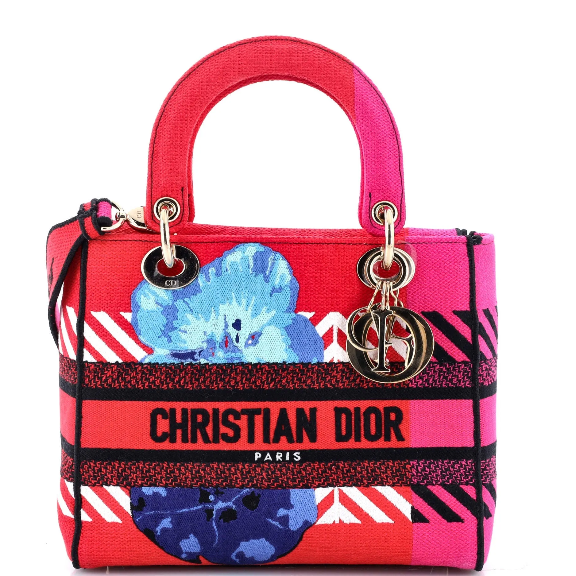 Lady D-Lite Bag Embroidered Canvas Medium