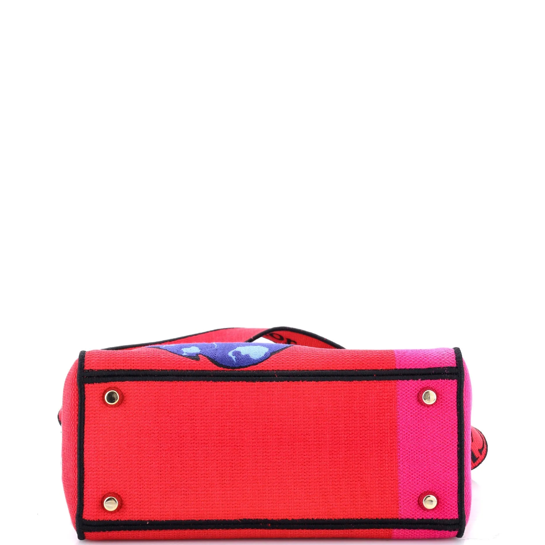 Lady D-Lite Bag Embroidered Canvas Medium