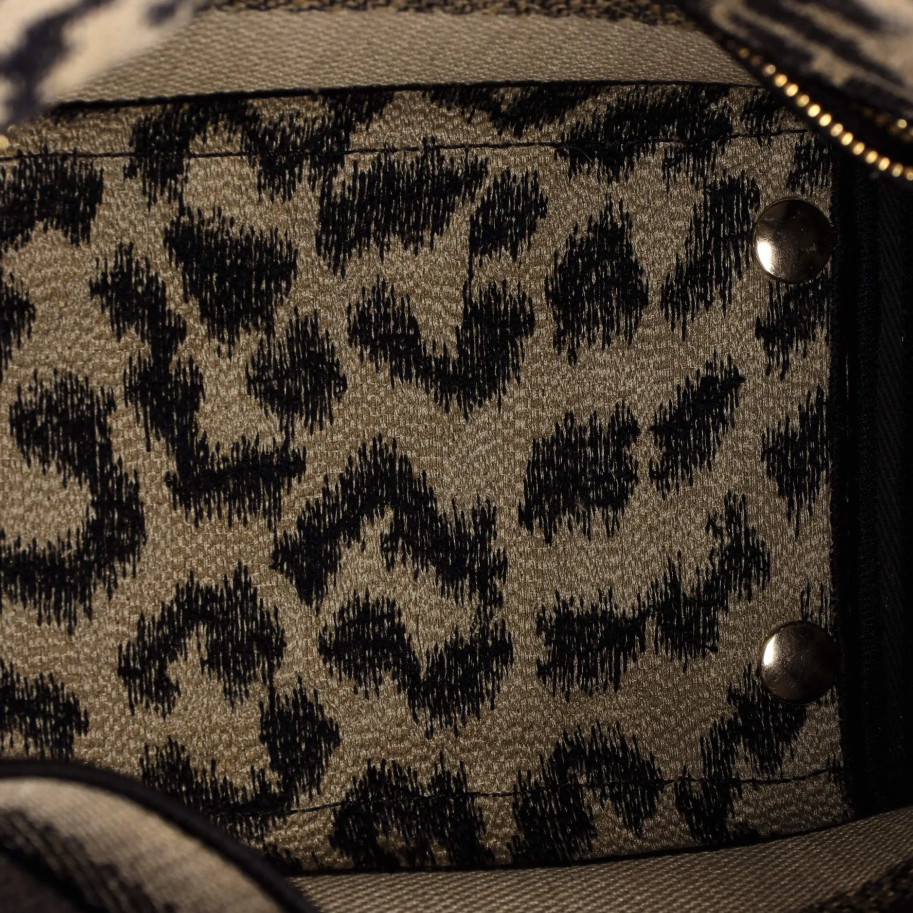 Lady D-Lite Bag Mizza Embroidered Canvas Medium