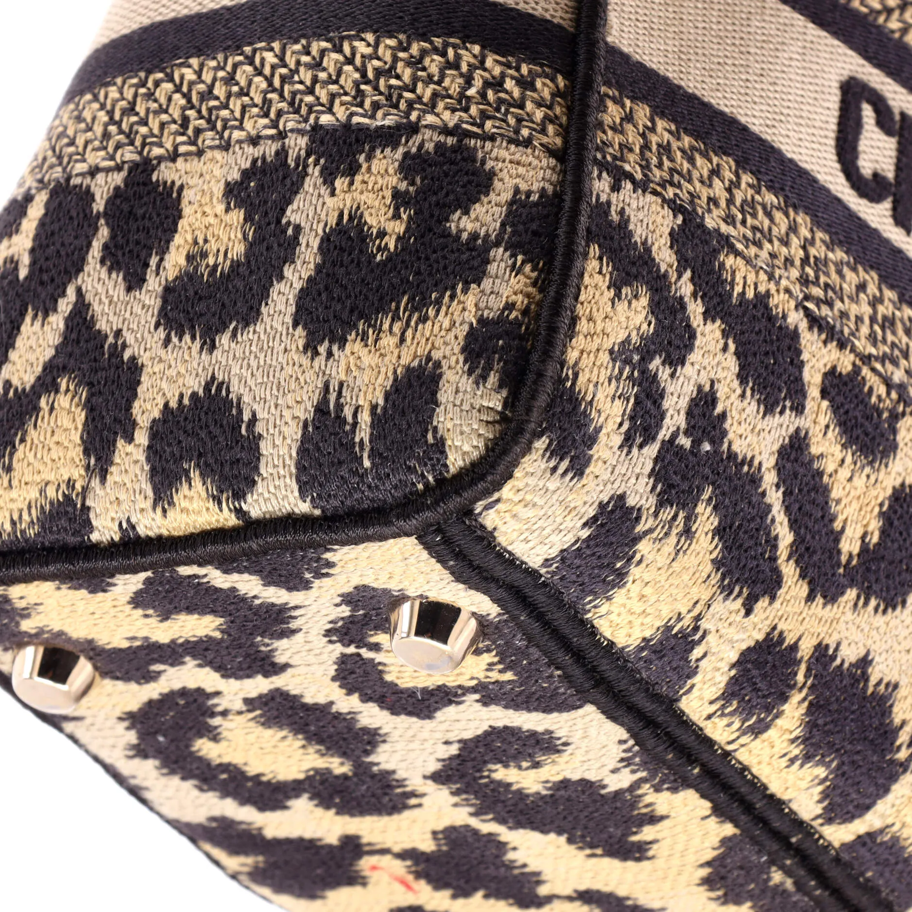 Lady D-Lite Bag Mizza Embroidered Canvas Medium