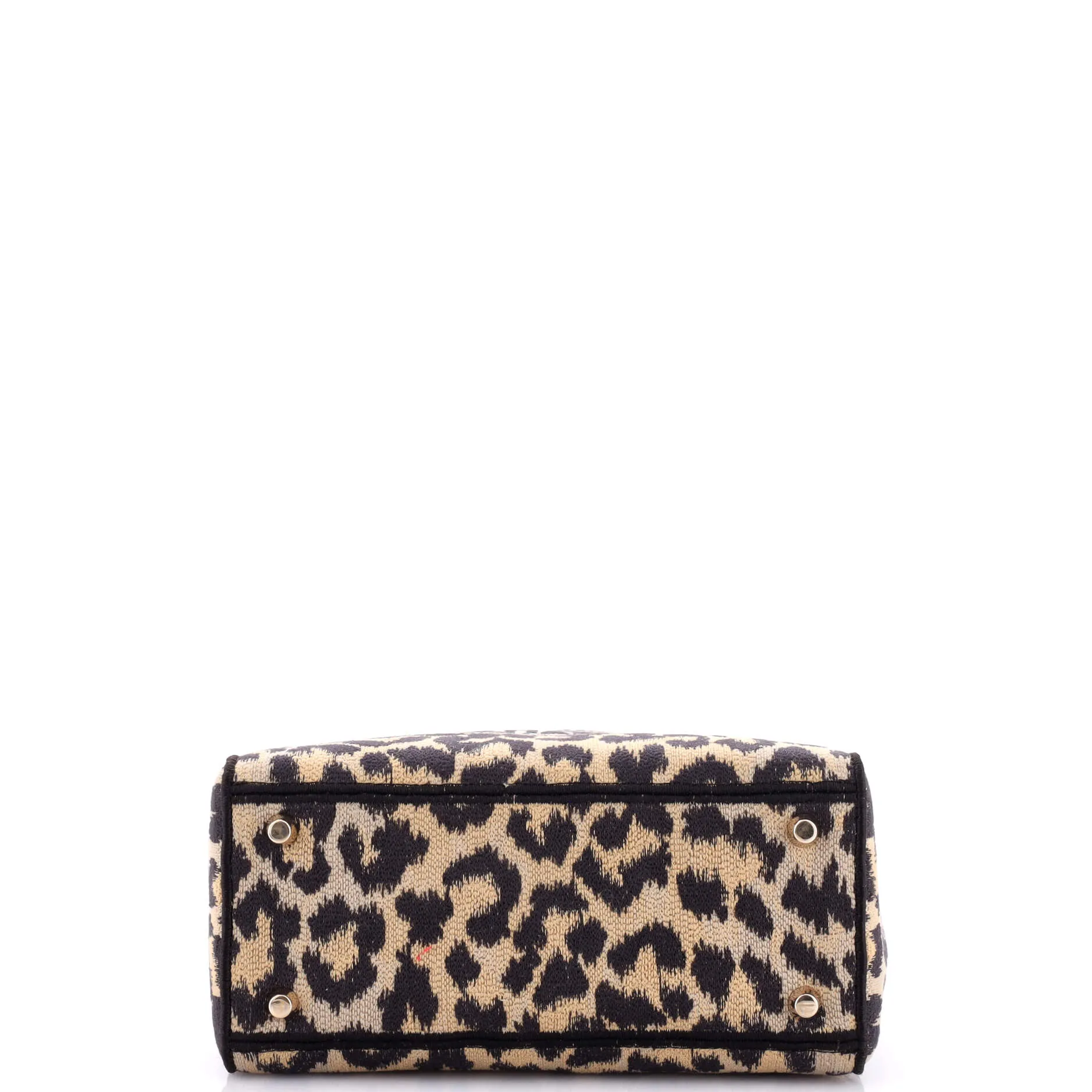 Lady D-Lite Bag Mizza Embroidered Canvas Medium