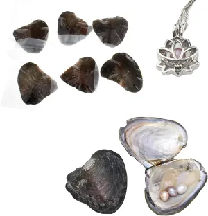 Milky Way Natural Oyster Pearl,Cultured Pearl in Oyster Necklace Kit Pendant, Love Wish Pearls Anniversary Decoration for Jewelry Making Gifts (B, 7.5-8mm Approx 10Cs)