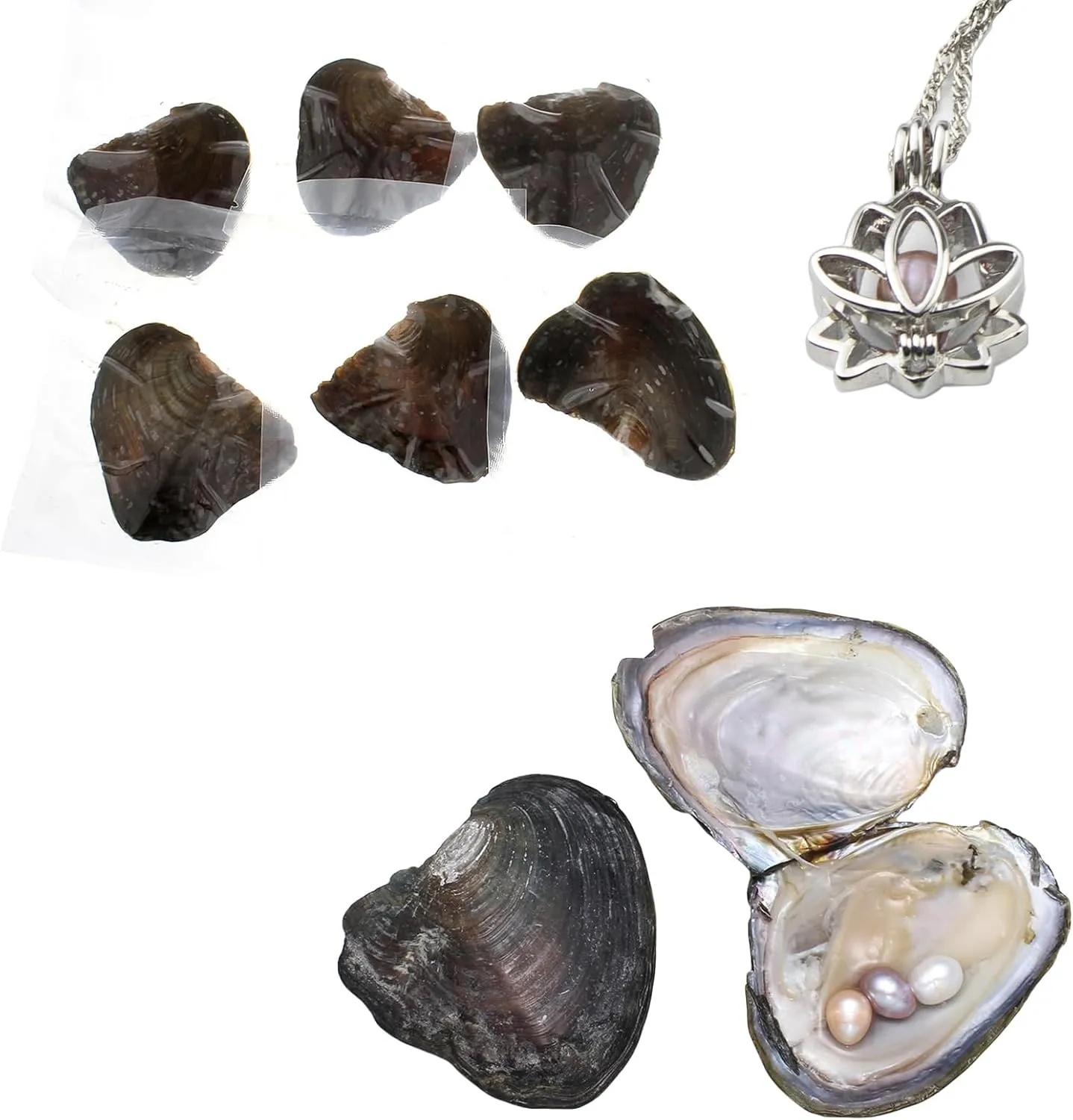 Milky Way Natural Oyster Pearl,Cultured Pearl in Oyster Necklace Kit Pendant, Love Wish Pearls Anniversary Decoration for Jewelry Making Gifts (B, 7.5-8mm Approx 10Cs)