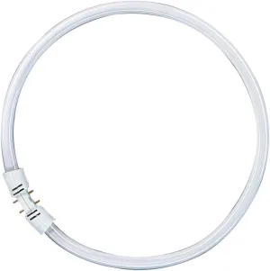 Osram 22 Watt Lumilux T5 Fluorescent Lamps Socket