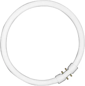 OSRAM Branded 22w T5 Circular Fluorescent Tube in Colour 840 /4000K/ Cool White