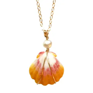 Sunrise Shell Necklace, Petite Hawaiian Sunrise Shell, Shell Necklace, Beach Girl, Ocean Jewelry, Sunrise Shell, 14K Gold fill.