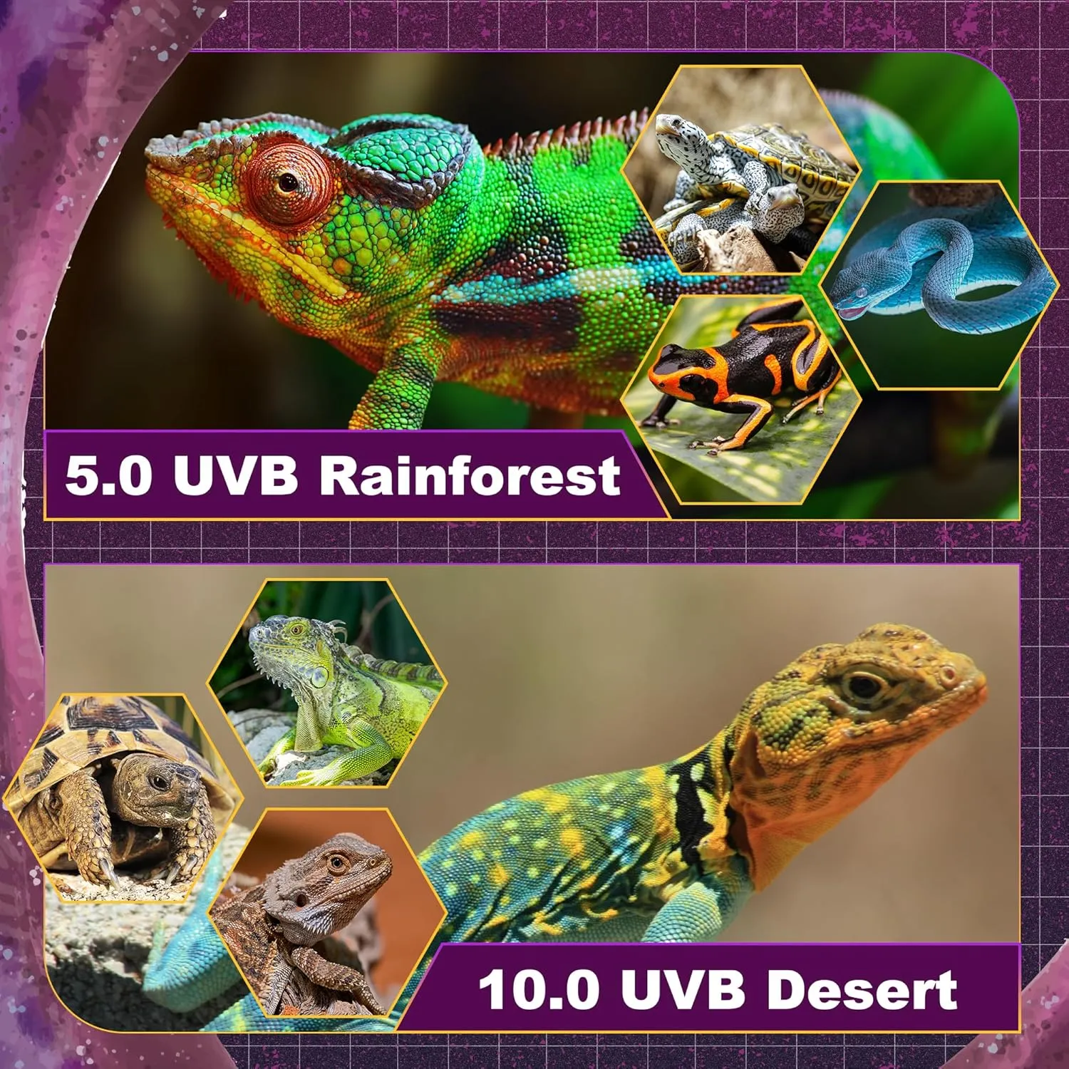 T5 HO UVB Lighting Combo Kit, 8W Reptile Light Fixture with Fluorescent Light Bulbs, Desert 10.0 UVB Light for Reptiles and Amphibians, Basking Light for Bearded Dragon, High Output Natural Light