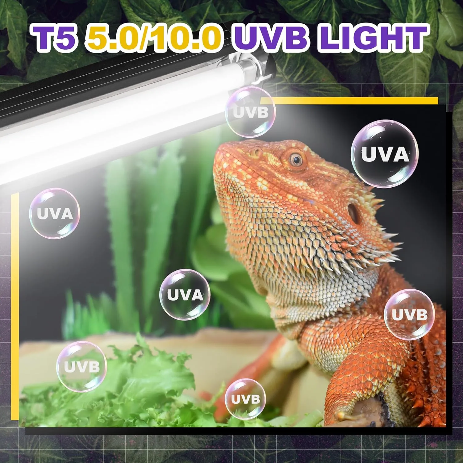 T5 HO UVB Lighting Combo Kit, 8W Reptile Light Fixture with Fluorescent Light Bulbs, Desert 10.0 UVB Light for Reptiles and Amphibians, Basking Light for Bearded Dragon, High Output Natural Light