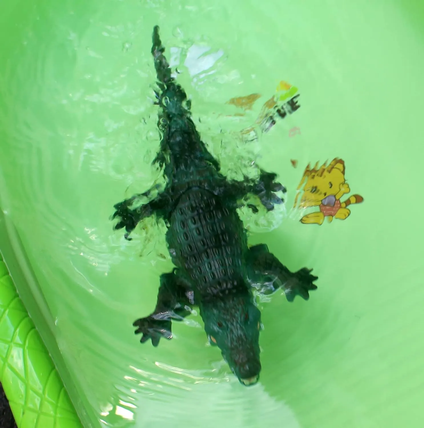 Tipmant Realistic RC Crocodile Remote Control Fish Boat Electric Animal Water Toy for Swimming Pool Lake Kids Birthday (Green)